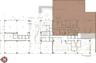 Cinqo - Plano